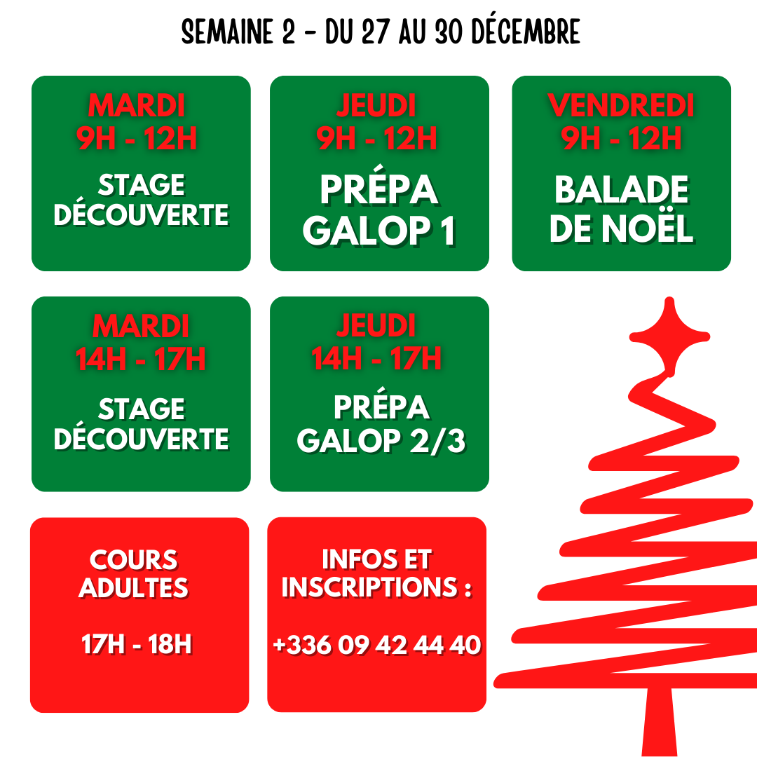Stages noel semaine 2 1